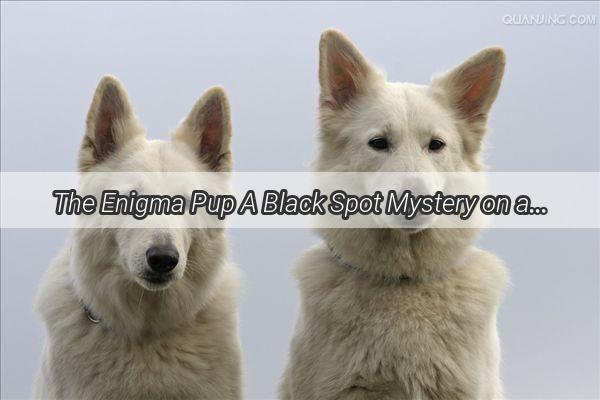 The Enigma Pup A Black Spot Mystery on a Furry Friends Back